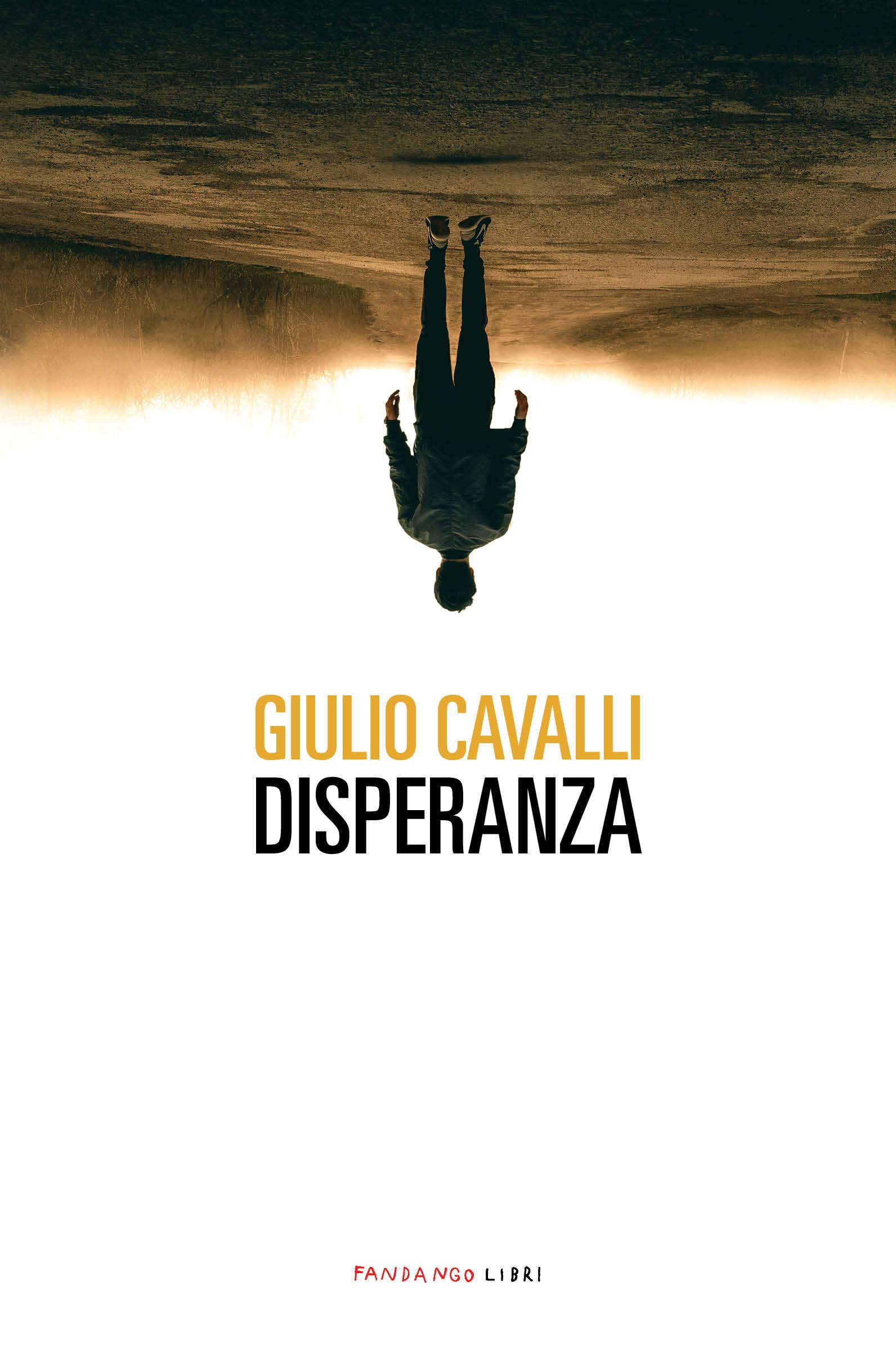 Copertina di Disperanza